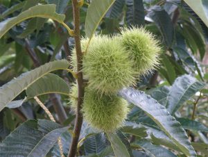 _________________4d5f9180950cf - ΝΕΑ Τηλεόραση Κρήτης