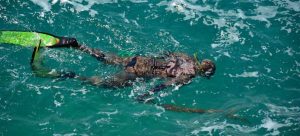 psaro-708 - ΝΕΑ Τηλεόραση Κρήτης