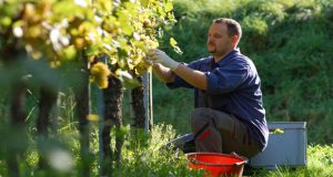 agrotes - ΝΕΑ Τηλεόραση Κρήτης